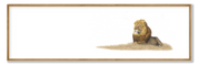 Male Lion Panorama