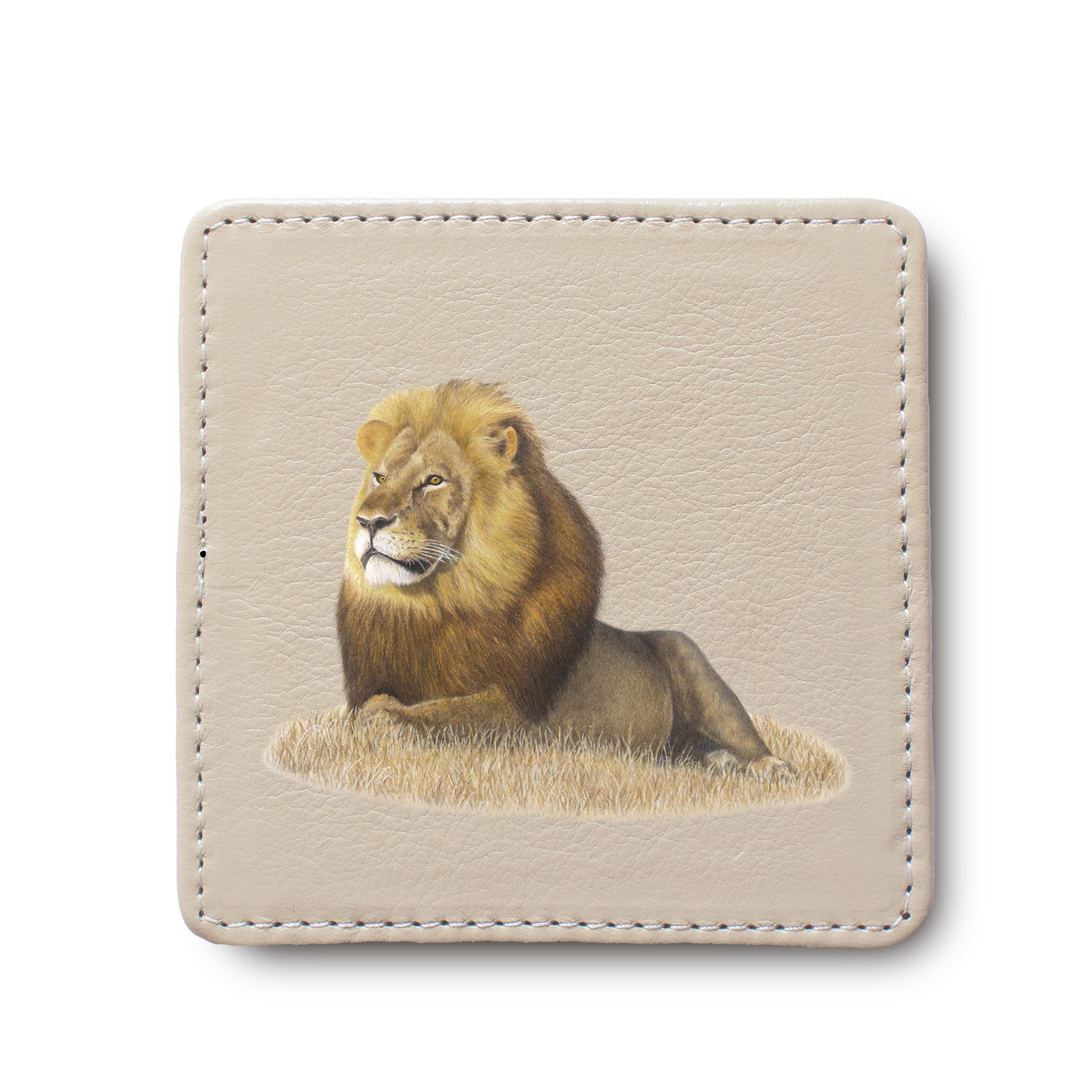 Male Lion animal leather coaster by South African wildlife artist Matthew Bell