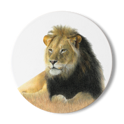 Male Lion Wooden Coaster - LN5