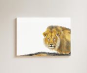 Male Lion Drinking drawing on canvas by South African wildlife artist Matthew Bell