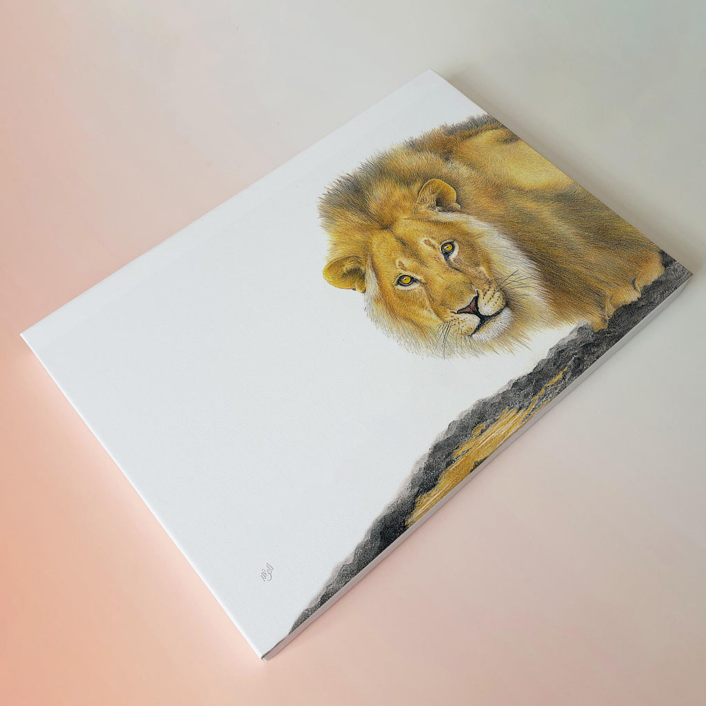 Male Lion drinking at a watering whole in Etosha canvas art print