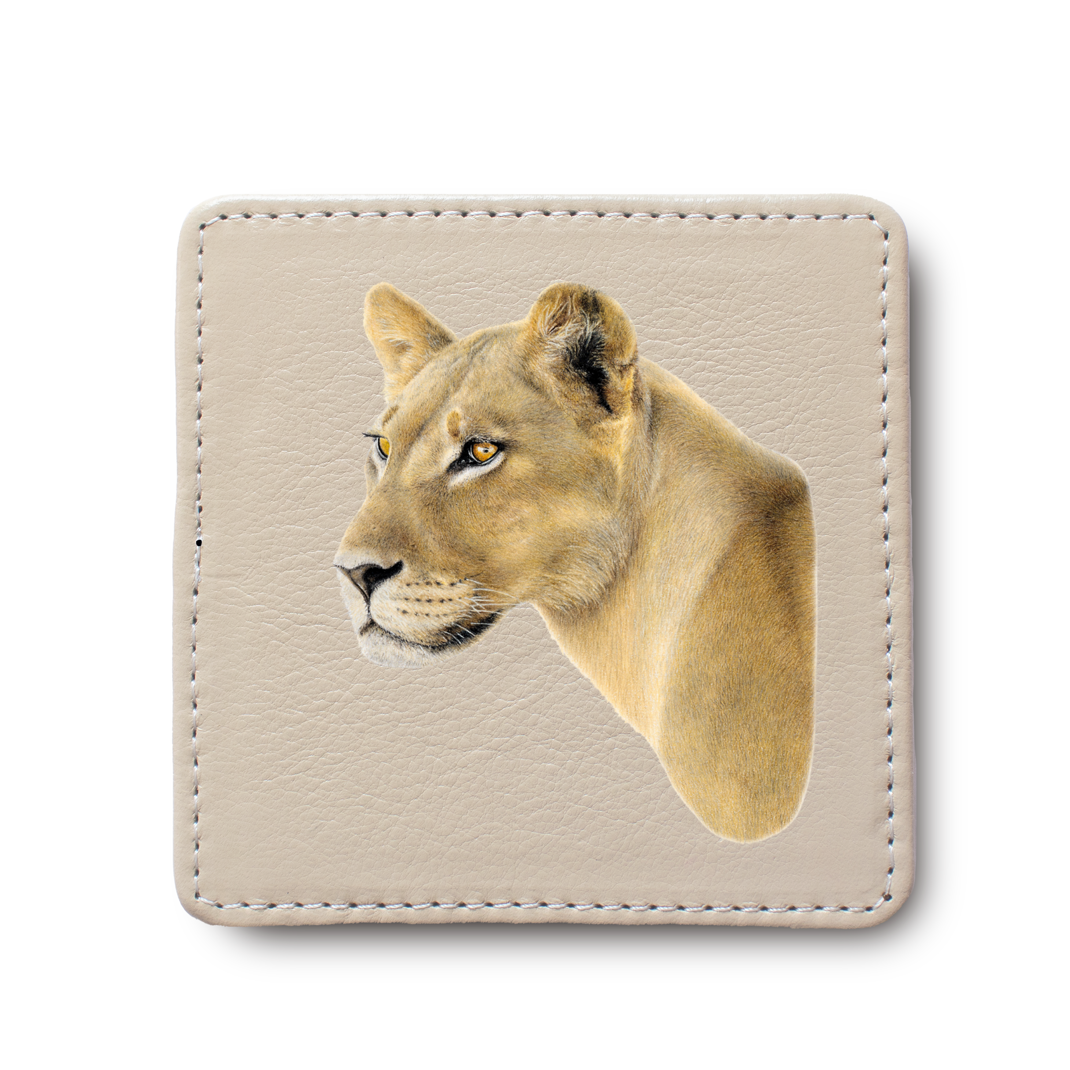 Lioness animal leather coaster by South African wildlife artist Matthew Bell
