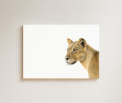 Lioness Portrait drawing on canvas by South African wildlife artist Matthew Bell