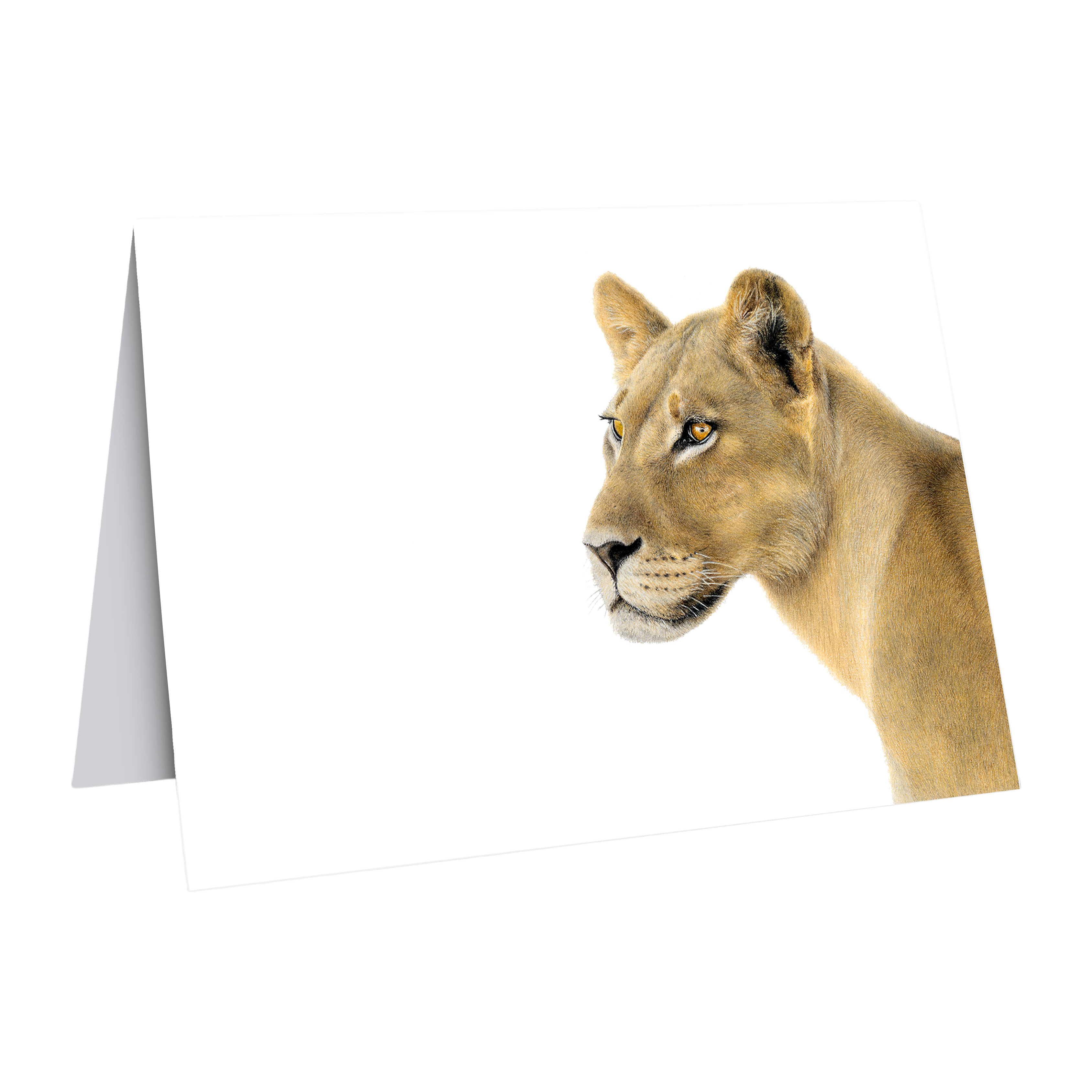 LN6_358e9e28-aea1-4222-8290-cfeb835da88b.png