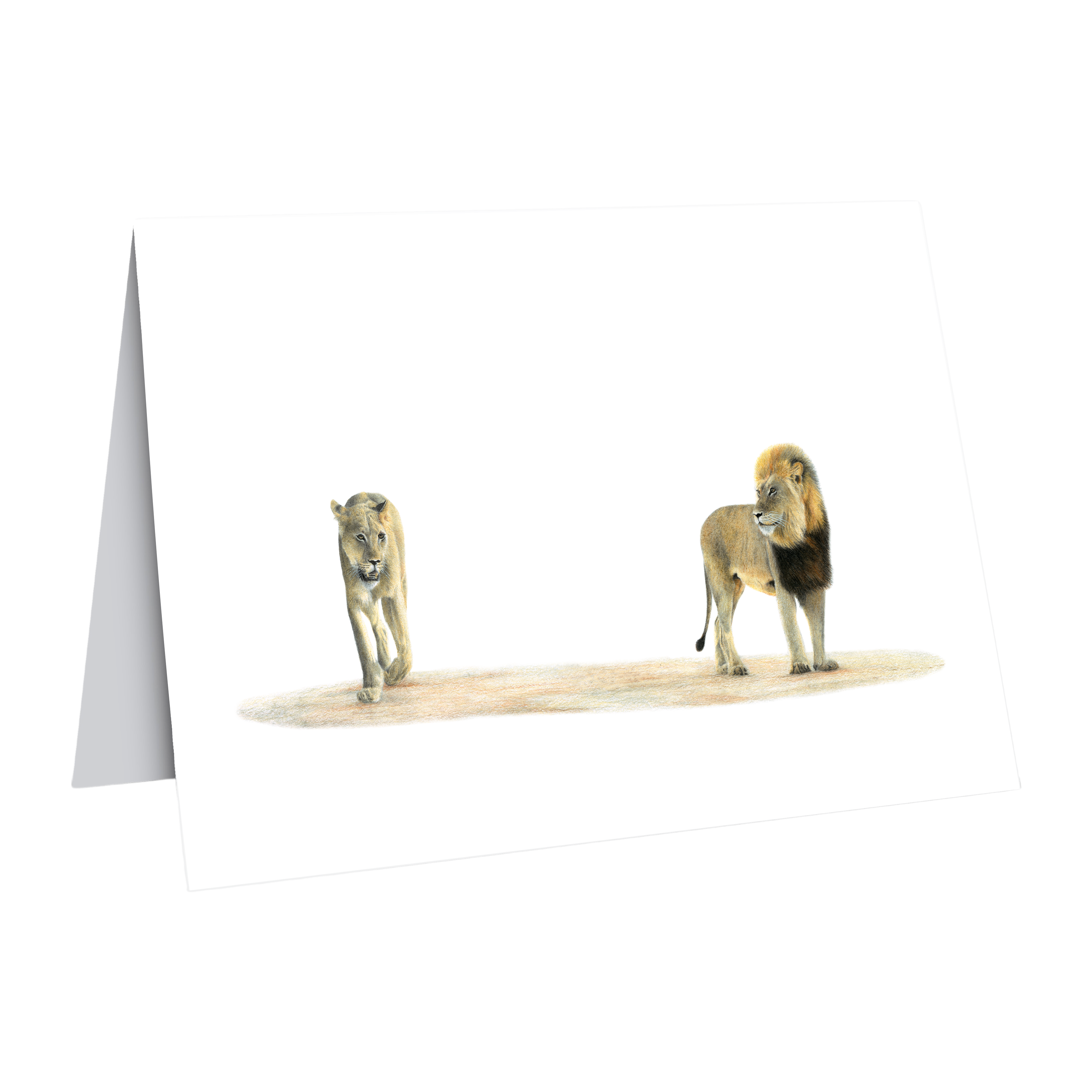 LN8_5e07160f-6503-4e9a-b080-44f463adf14f.png