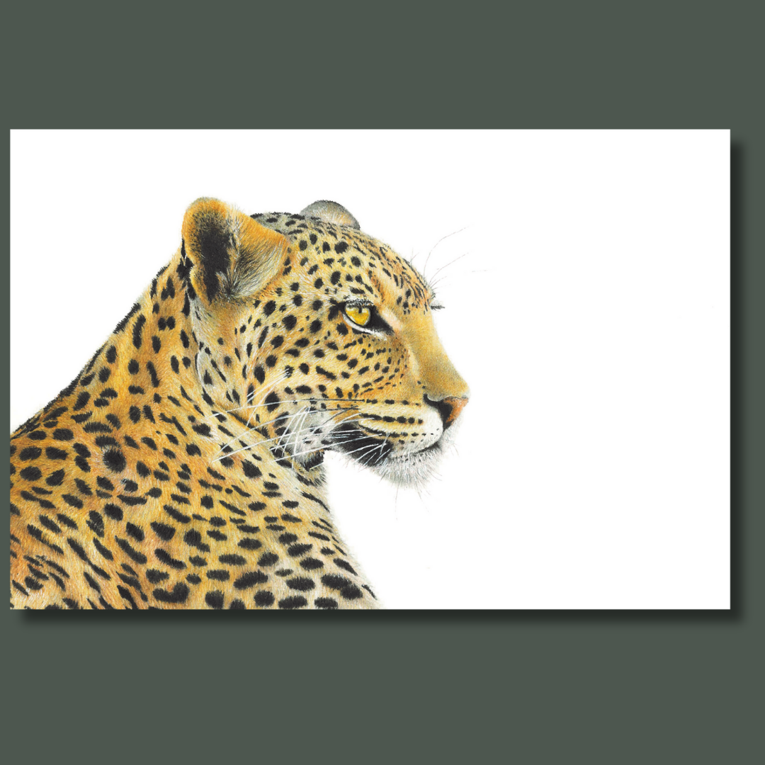 Leopard portrait African wildlife art on canvas