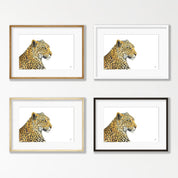 Leopard Portrait - LPD2