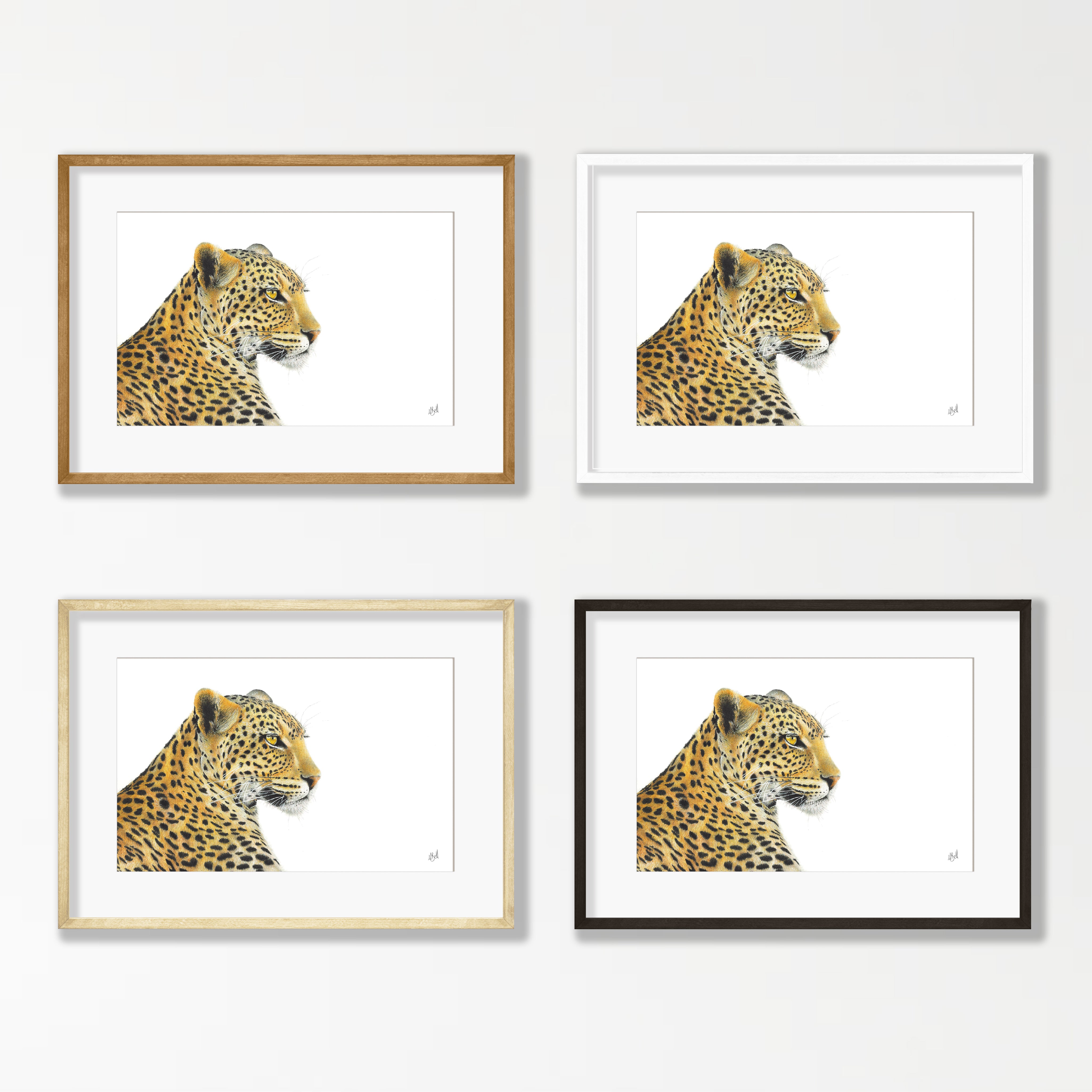 Leopard Portrait - LPD2