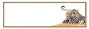 Leopard Mother & Cub Panorama