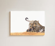 Leopard Mother and Cub drawing on canvas by South African wildlife artist Matthew Bell