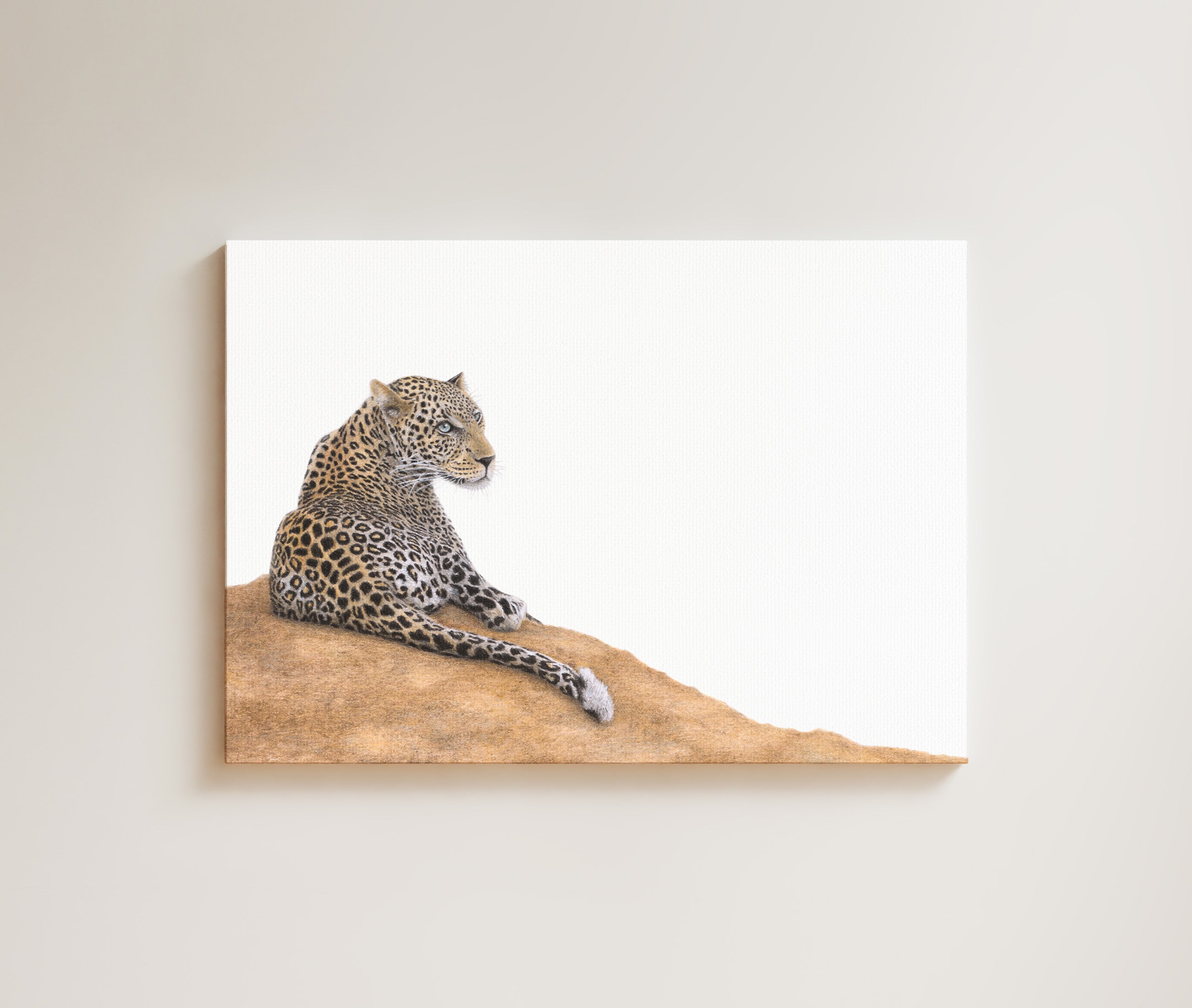 Leopard drawing on canvas by South African wildlife artist Matthew Bell