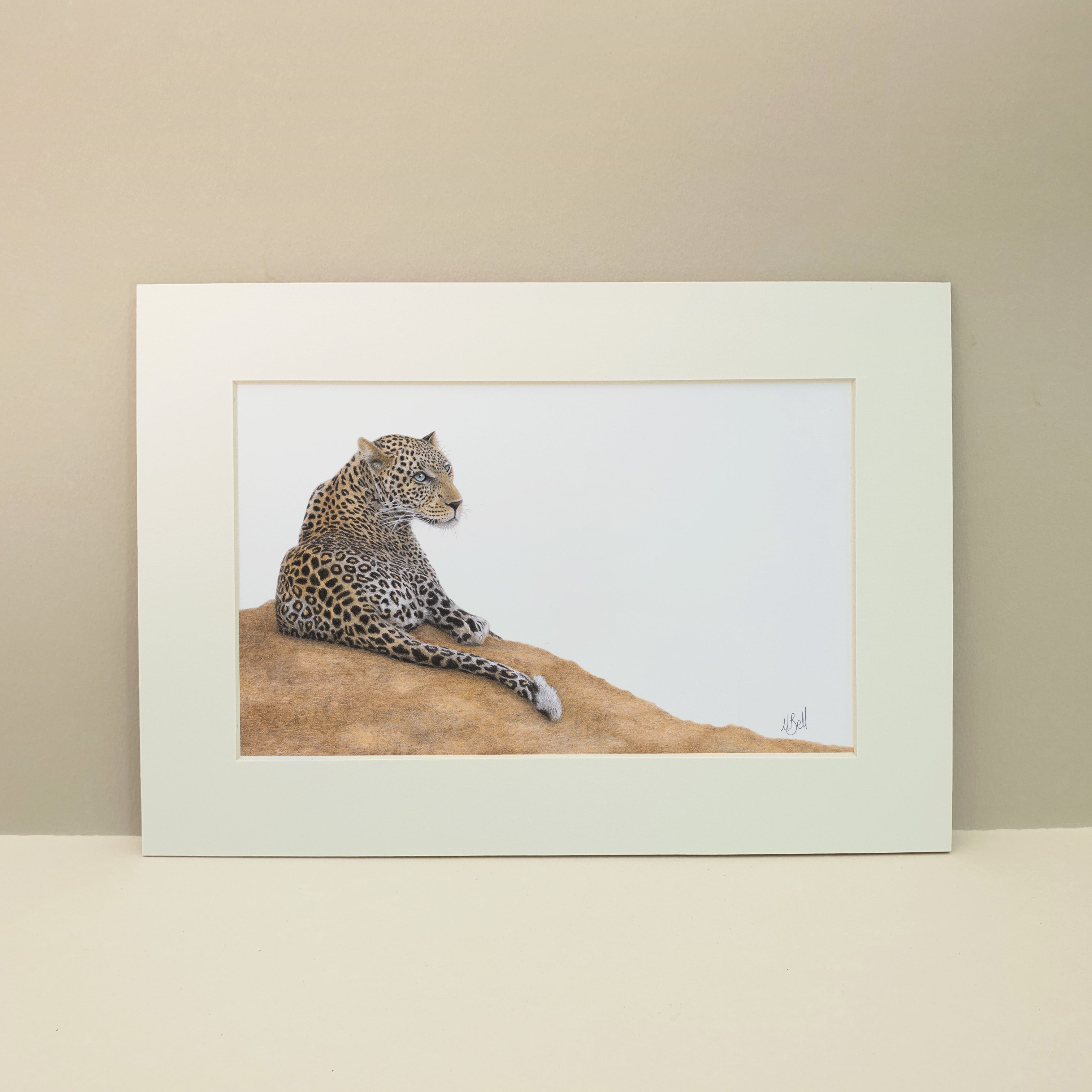 Leopard lying on a mound in the Sabi Sabi game reserve