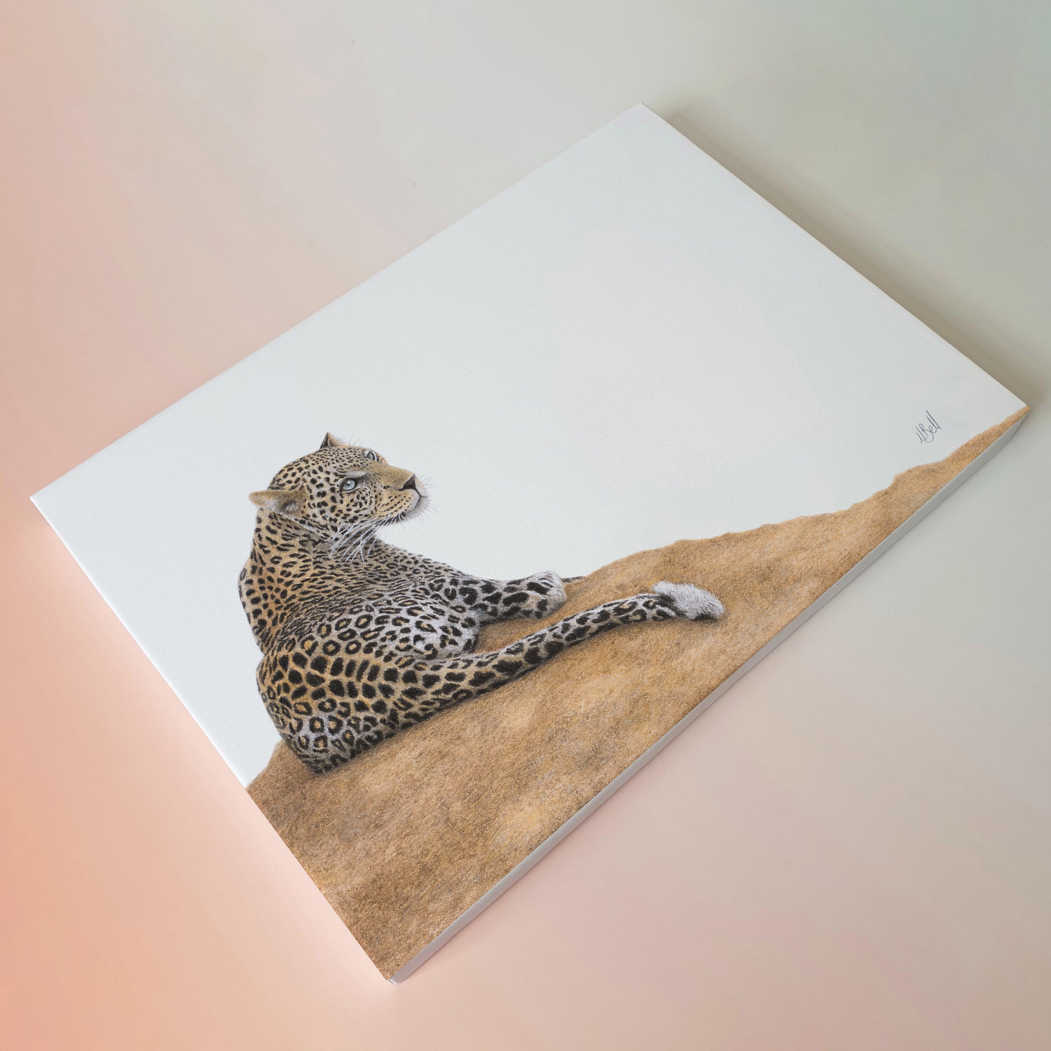 Leopard in the Sabi Sands nature artwork original on stretched canvas