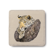 Leopard in Marula Tree leather coaster by South African wildlife artist Matthew Bell