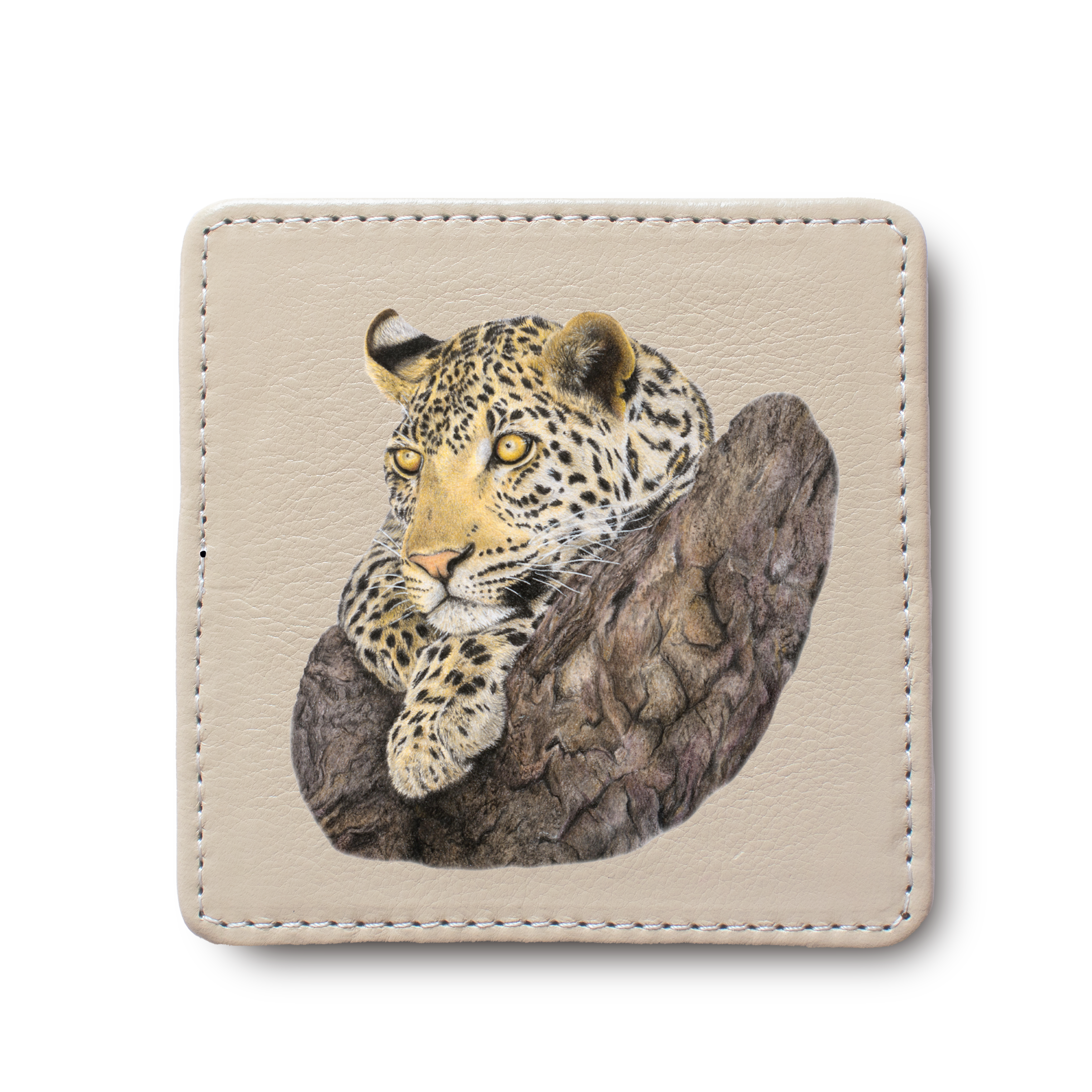 Leopard in Marula Tree leather coaster by South African wildlife artist Matthew Bell