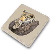 Leopard in Marula Tree Leather Coaster