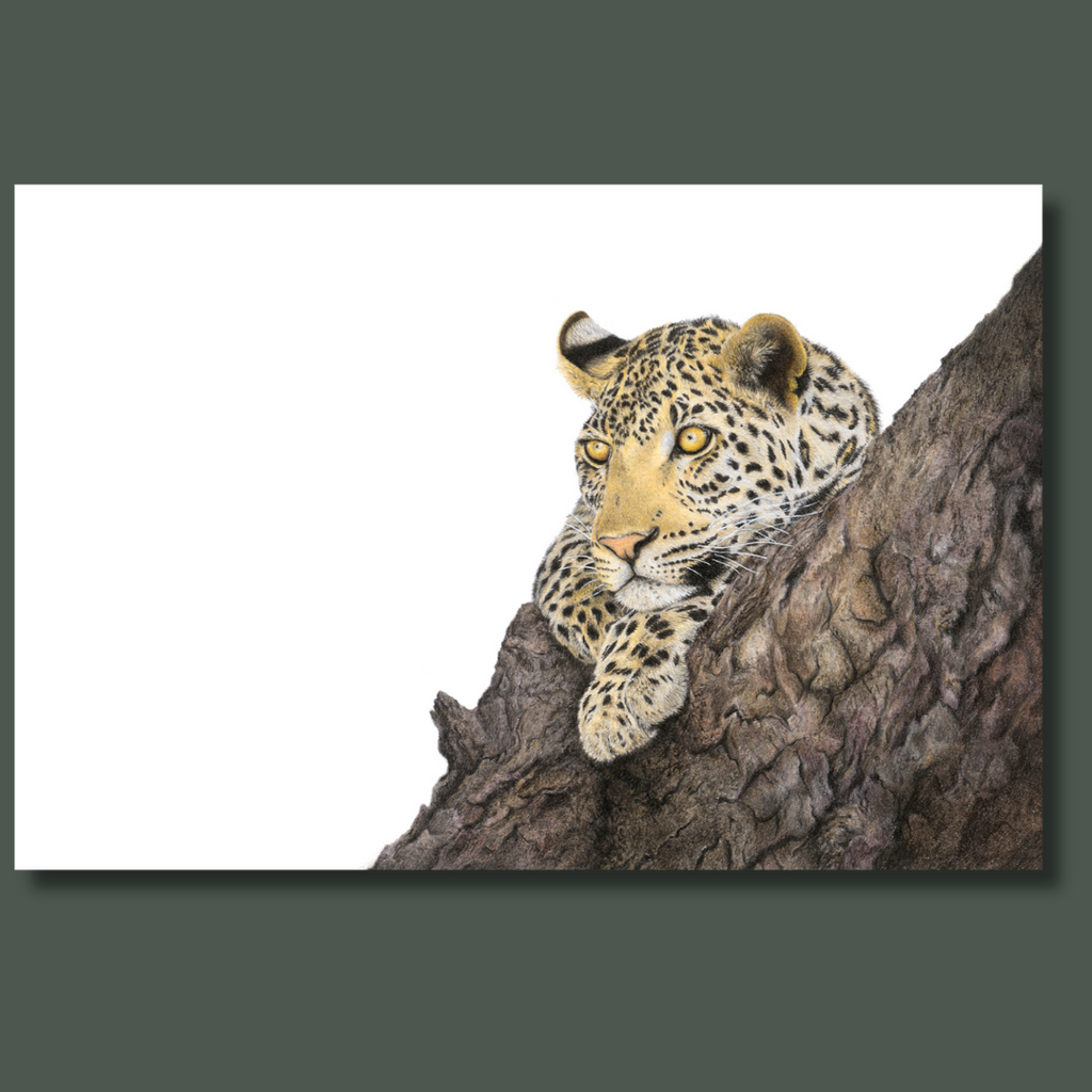 Leopard in a marula tree African wildlife art on canvas