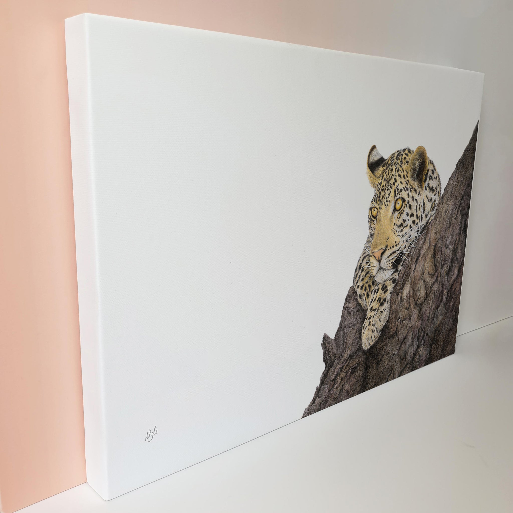 Leopard in a marula tree African wildlife art on canvas