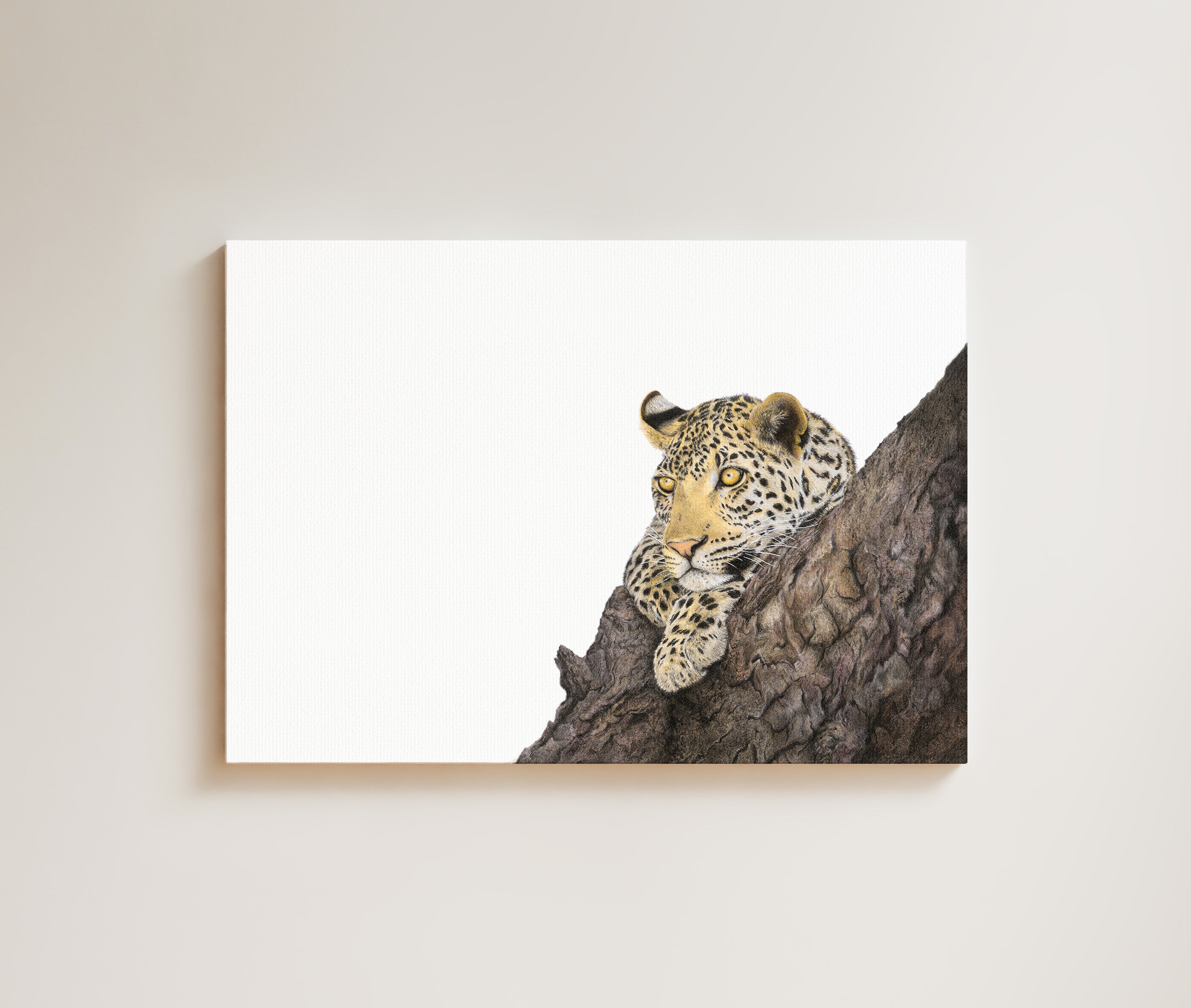 Leopard in a Marula Tree drawing on canvas by South African wildlife artist Matthew Bell