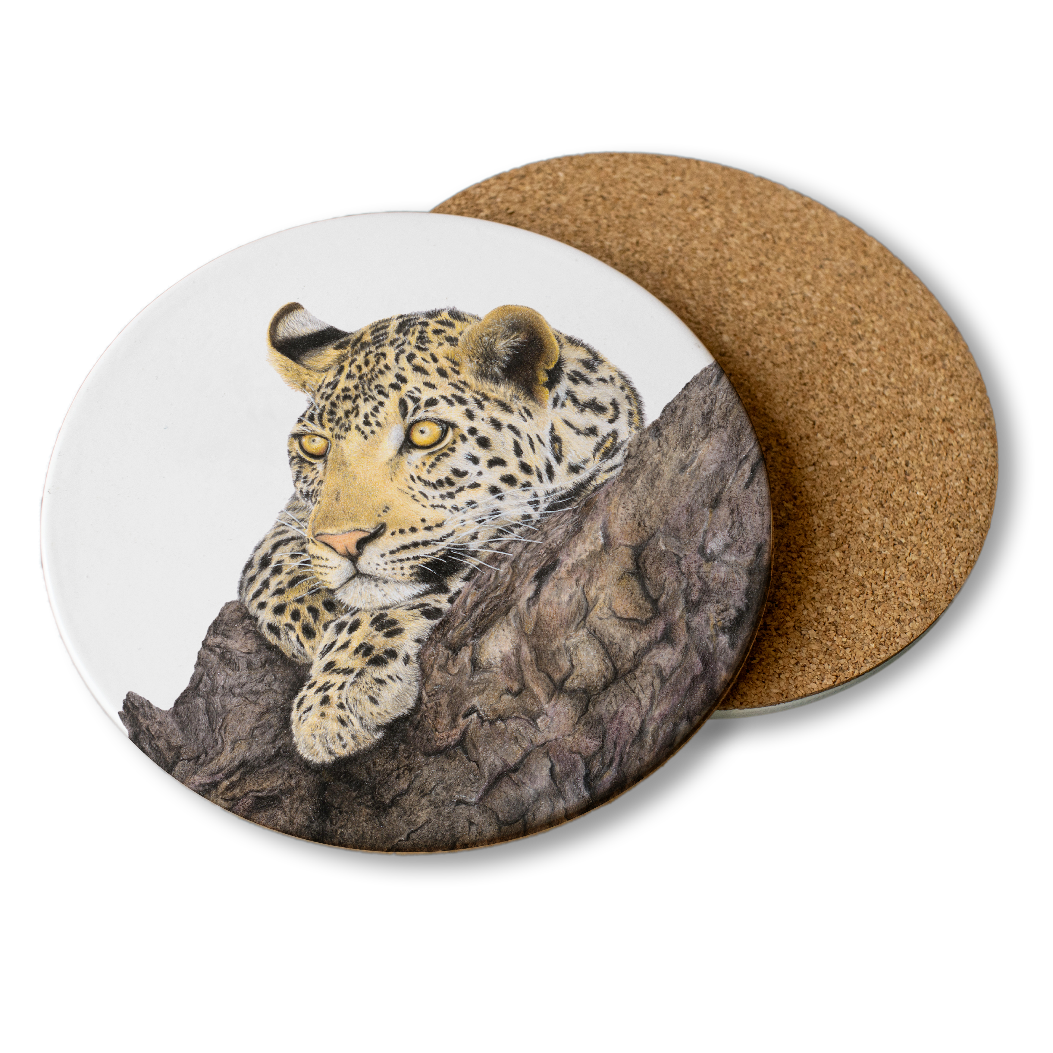 LPD5_ebf0283c-d208-42ab-9535-8c249e14679b.png