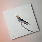 South African bird artwork on canvas, stretched on wooden frame by wildlife artist Matthew Bell of a Lesser Striped Swallow