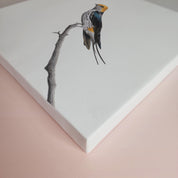 South African bird artwork on canvas, stretched on wooden frame by wildlife artist Matthew Bell of a Lesser Striped Swallow