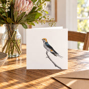 Lesser Striped Swallow Greeting Card - LSS