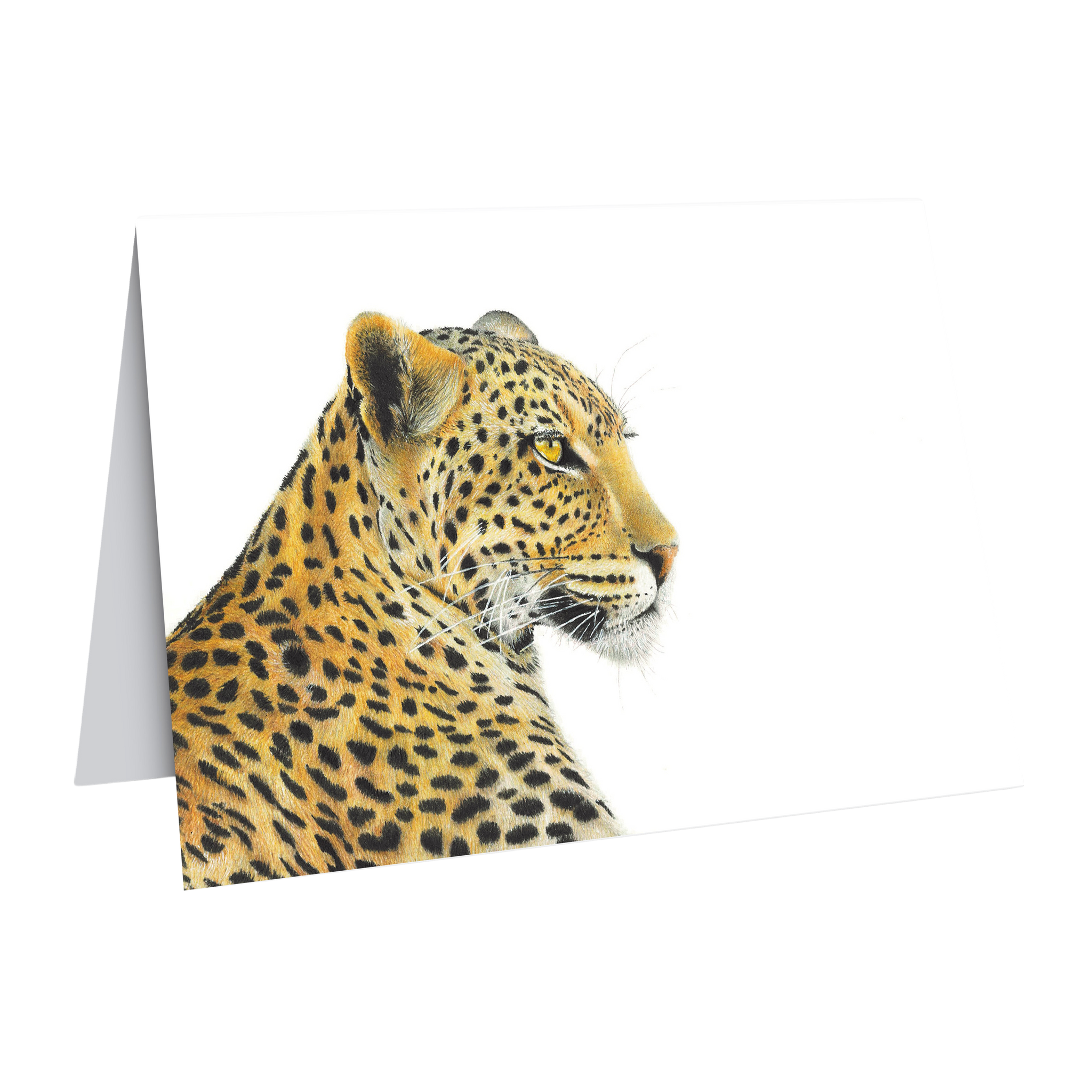 Leopard portrait greeting card by wildlife artist Matthew Bell