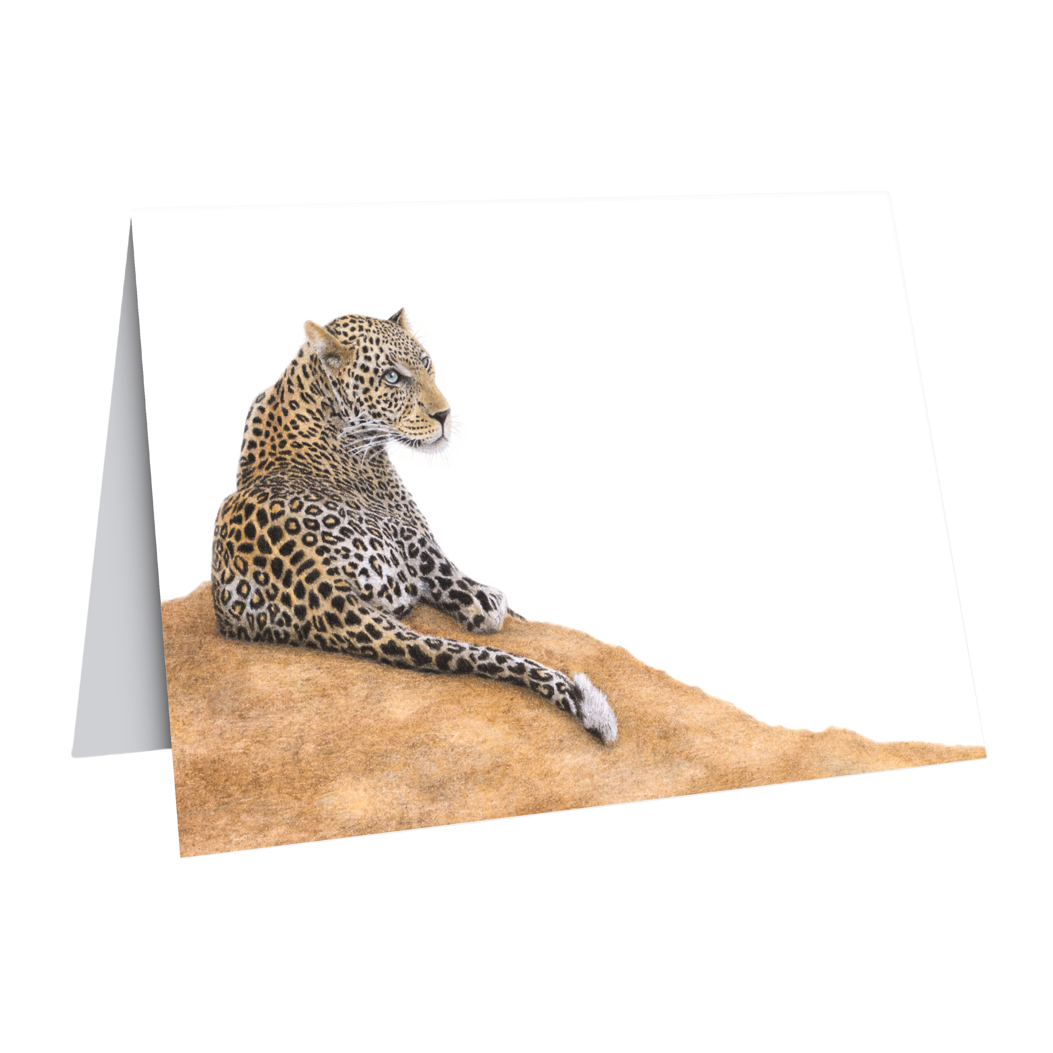 Leopard gift card wildlife art