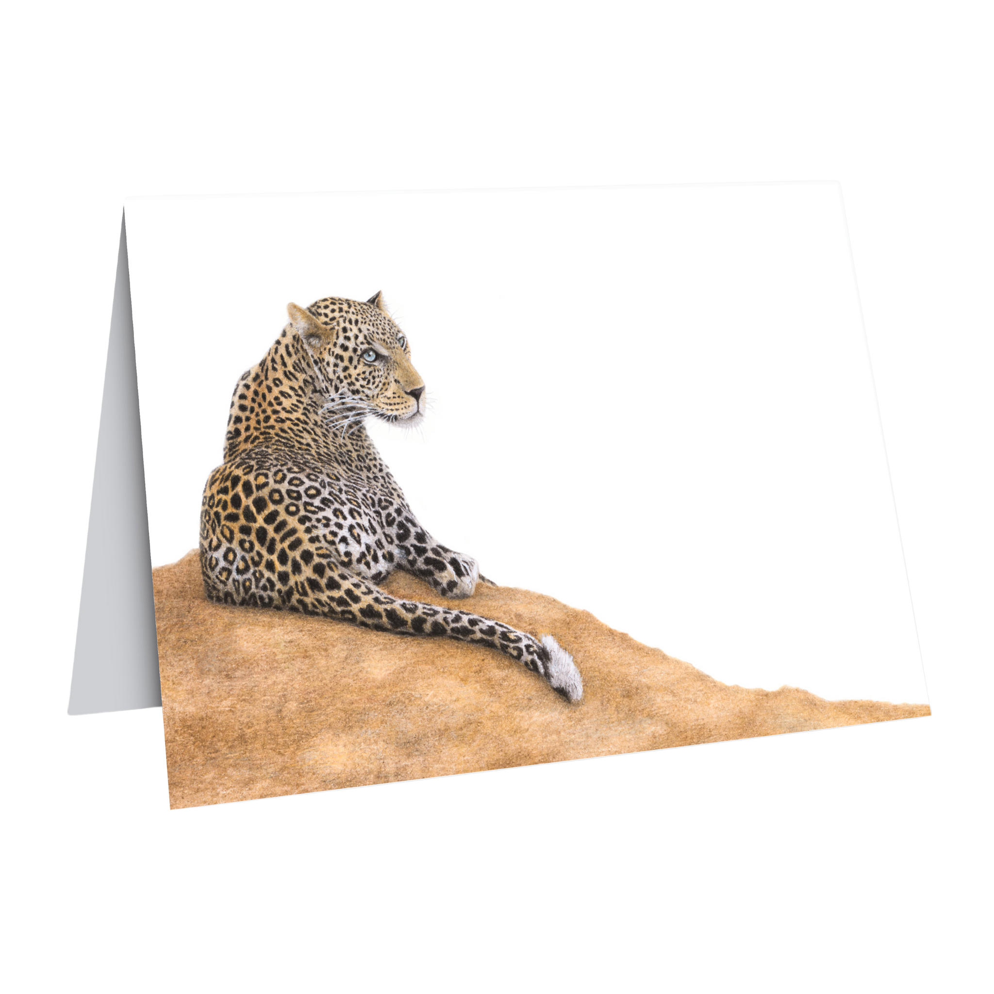 Leopard gift card wildlife art