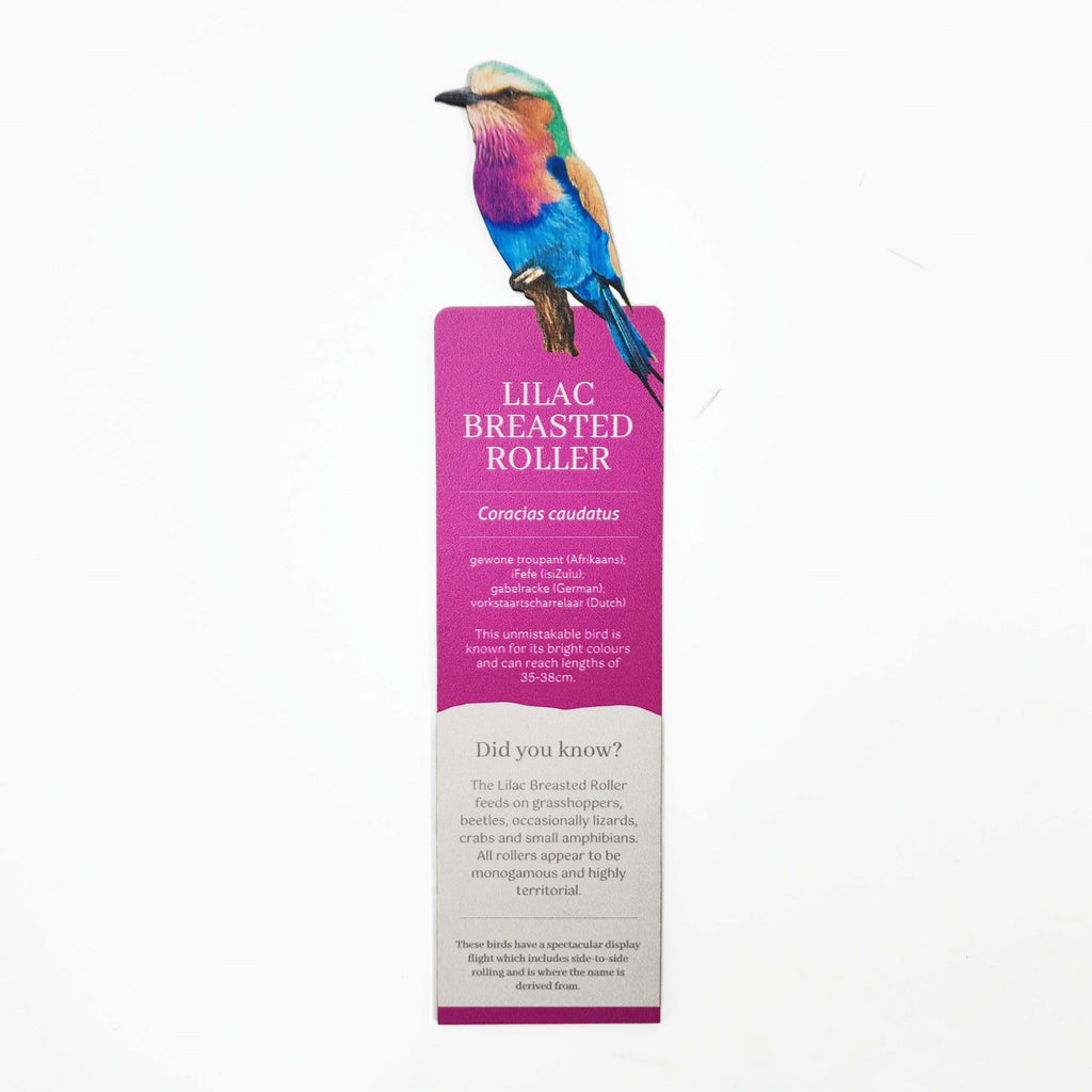 South African bird premium quality solid wooden bookmark showing with fascinating facts