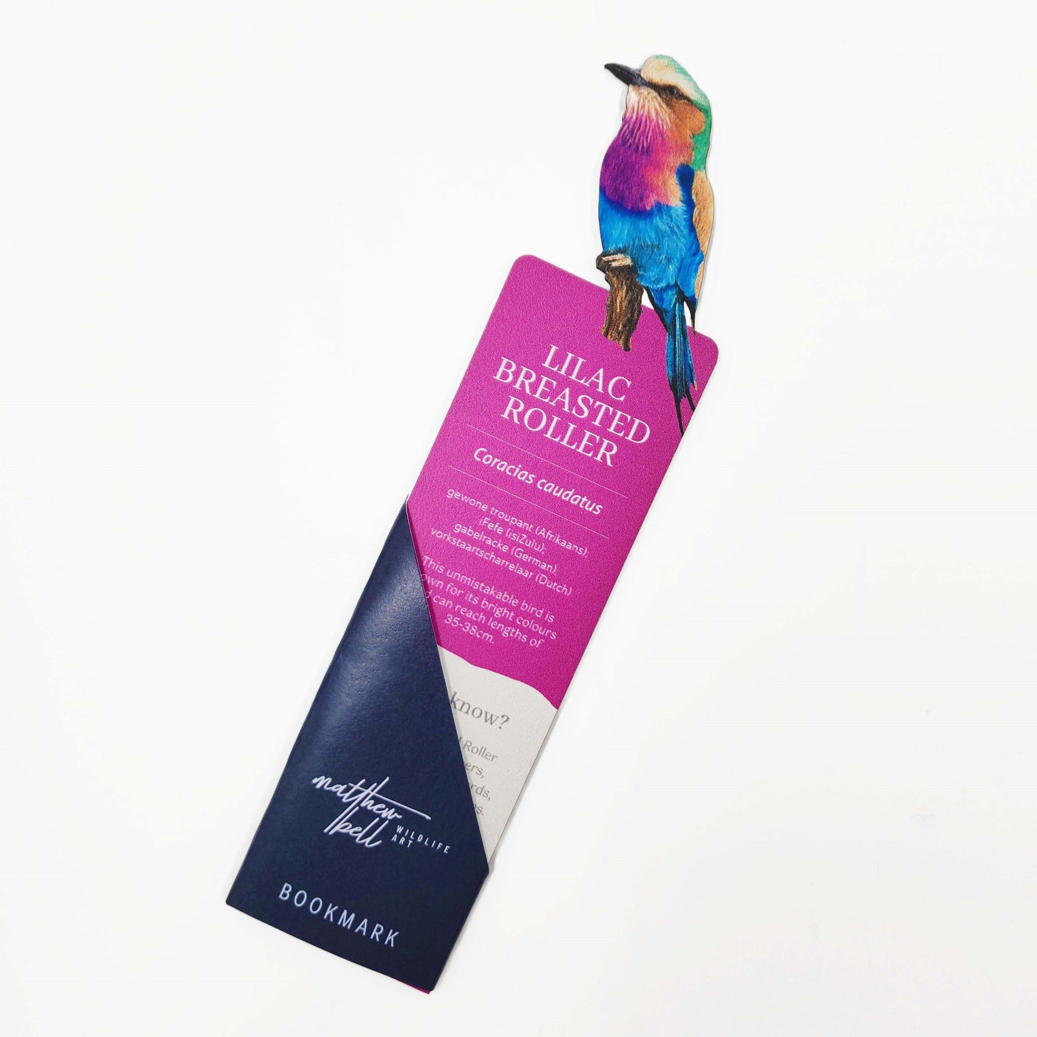 South African bird premium quality solid wooden bookmark showing with fascinating facts