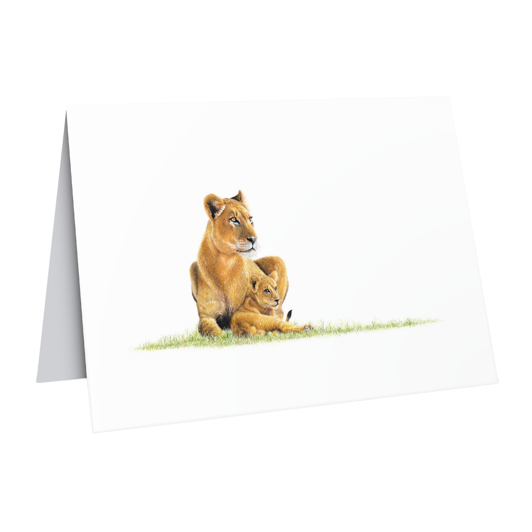 Beautiful fine art South African nature wildlife greeting card of a Lioness and cub