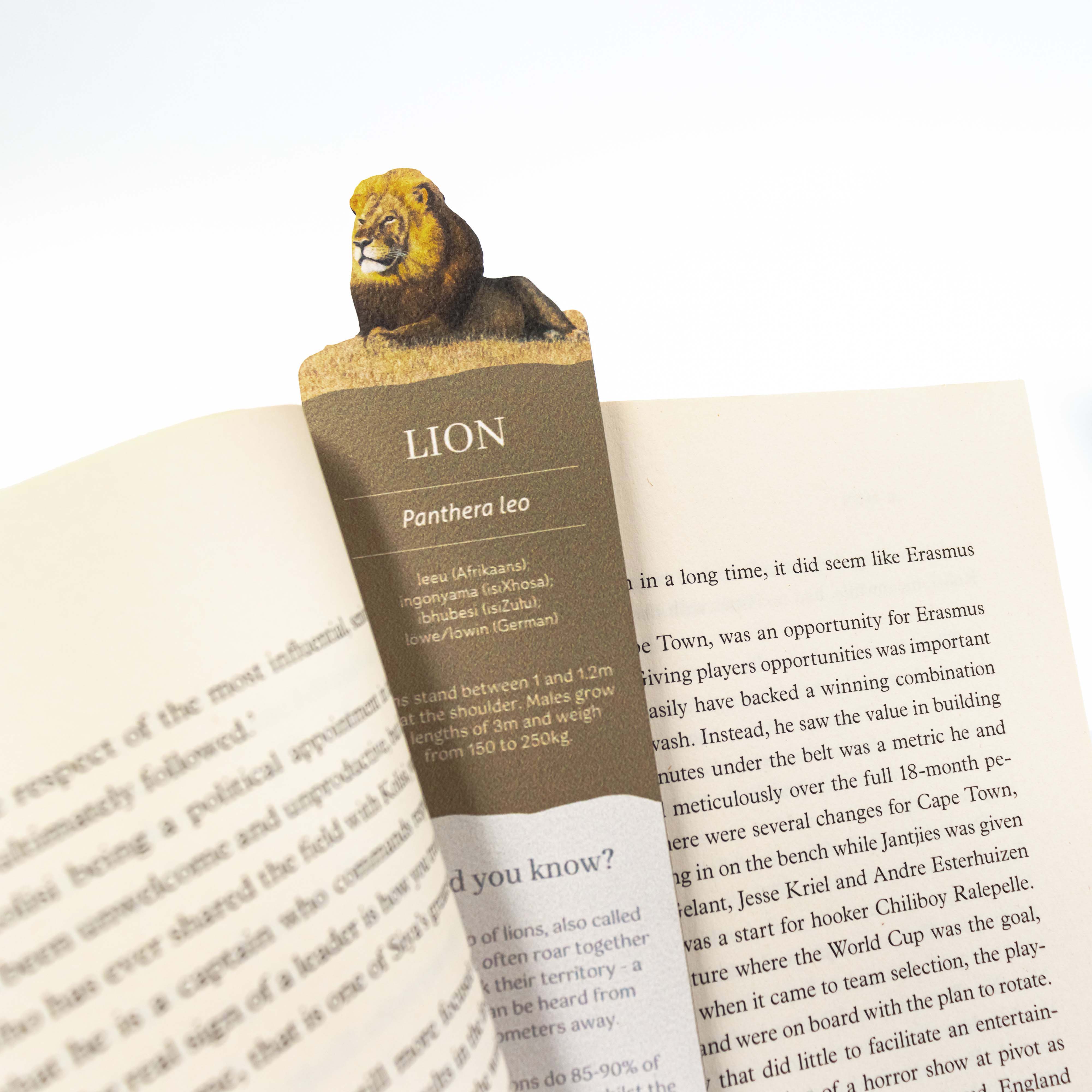 Lion Wooden Bookmark