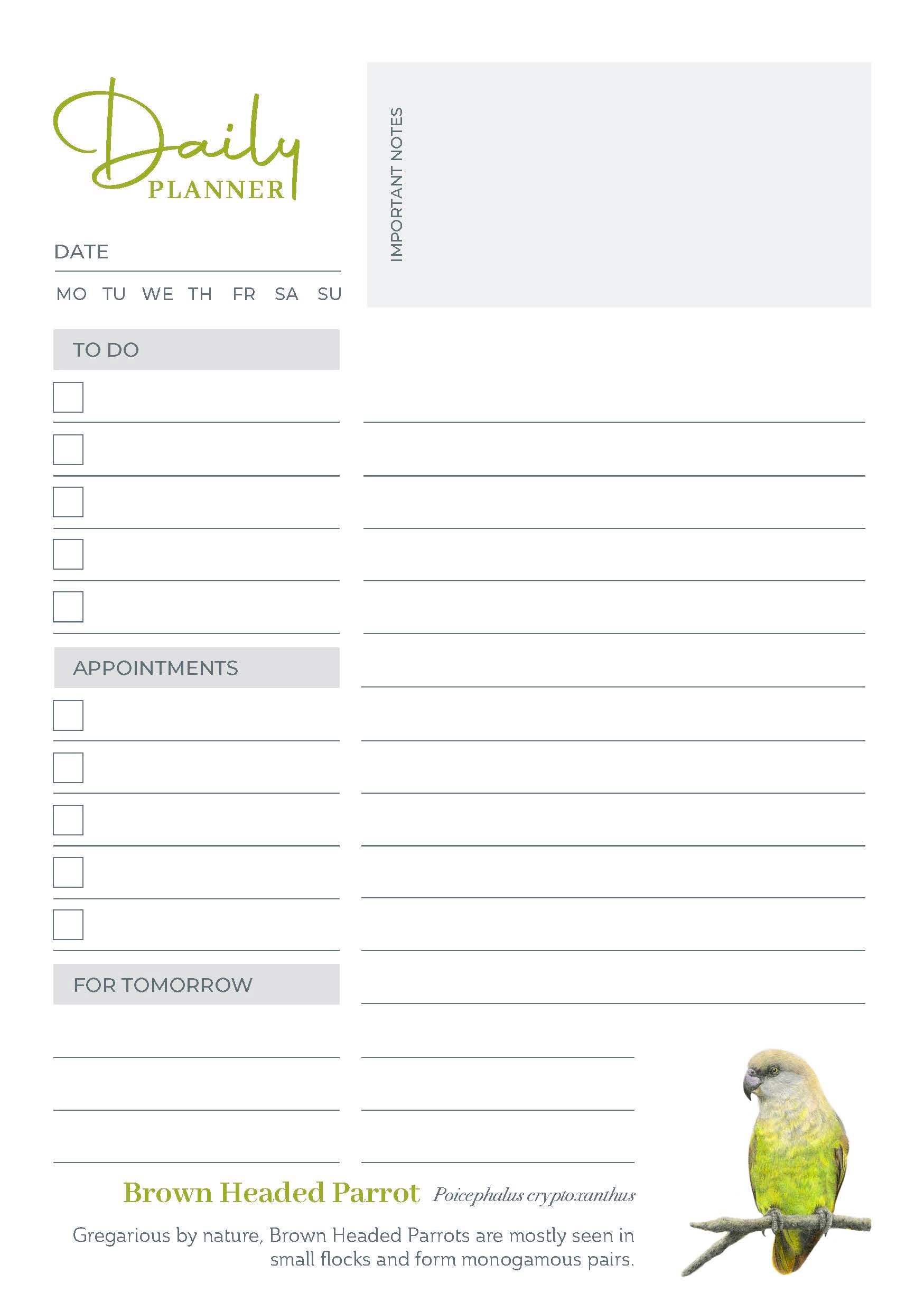 Birds of South Africa Daily Planner