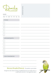 Birds of South Africa Daily Planner
