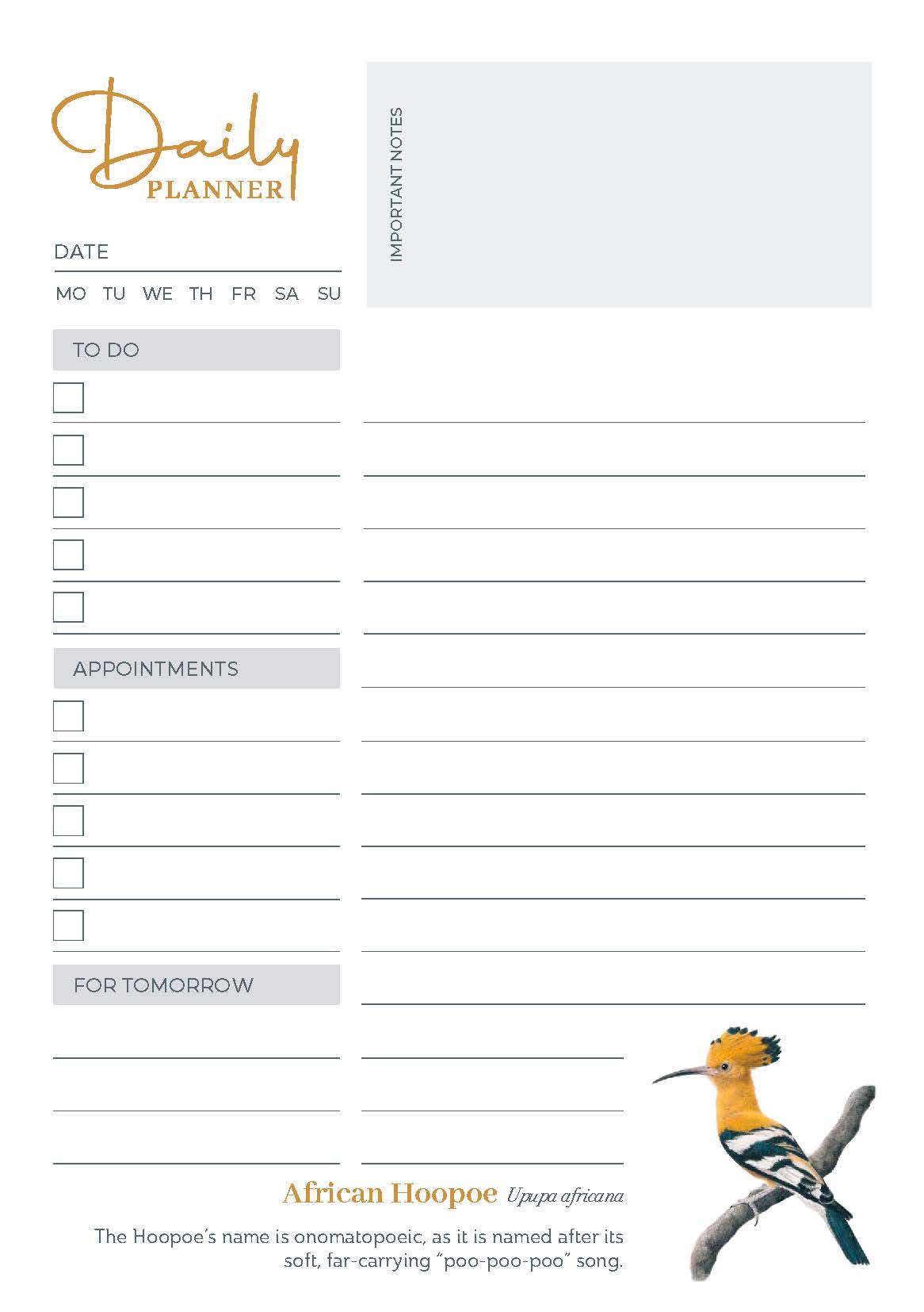 Birds of South Africa Daily Planner