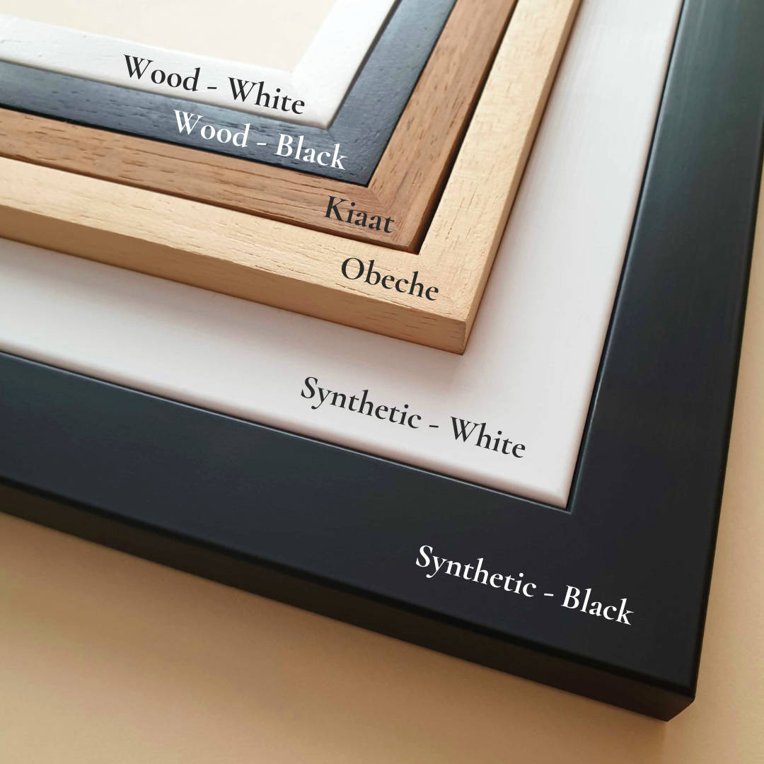 Black, white, kiaat, natural obeche wood frames for African wildlife art by Matthew Bell