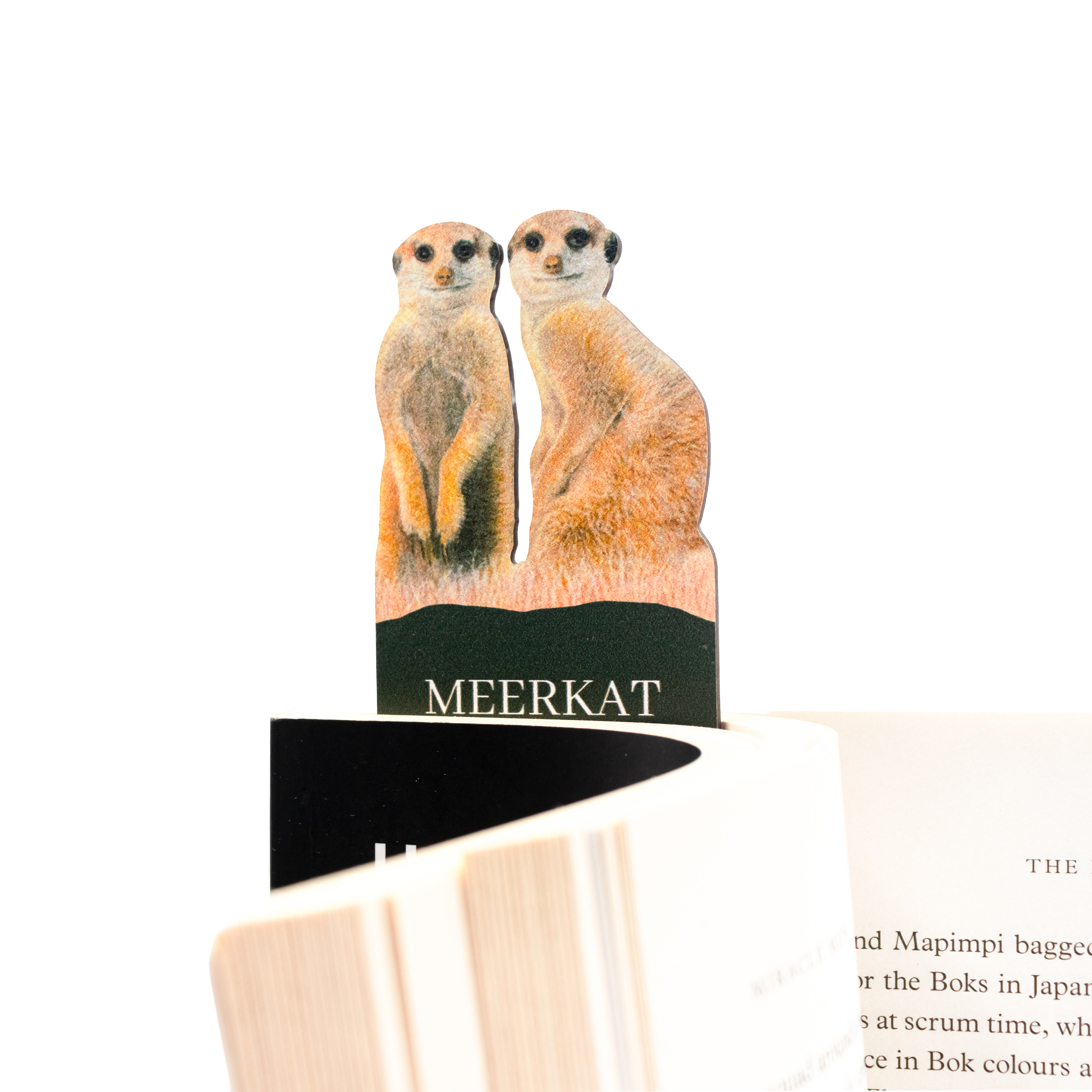 MBA_-_Bookmarks_2-115.png