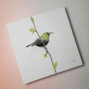 Marico Sunbird bird artwork on stretched canvas