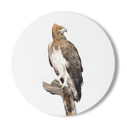 Martial Eagle Wooden Coaster - ME