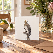 Martial Eagle Greeting Card - ME
