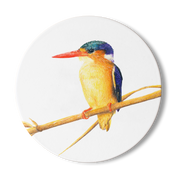 Malachite Kingfisher Wooden Coaster - MKF1