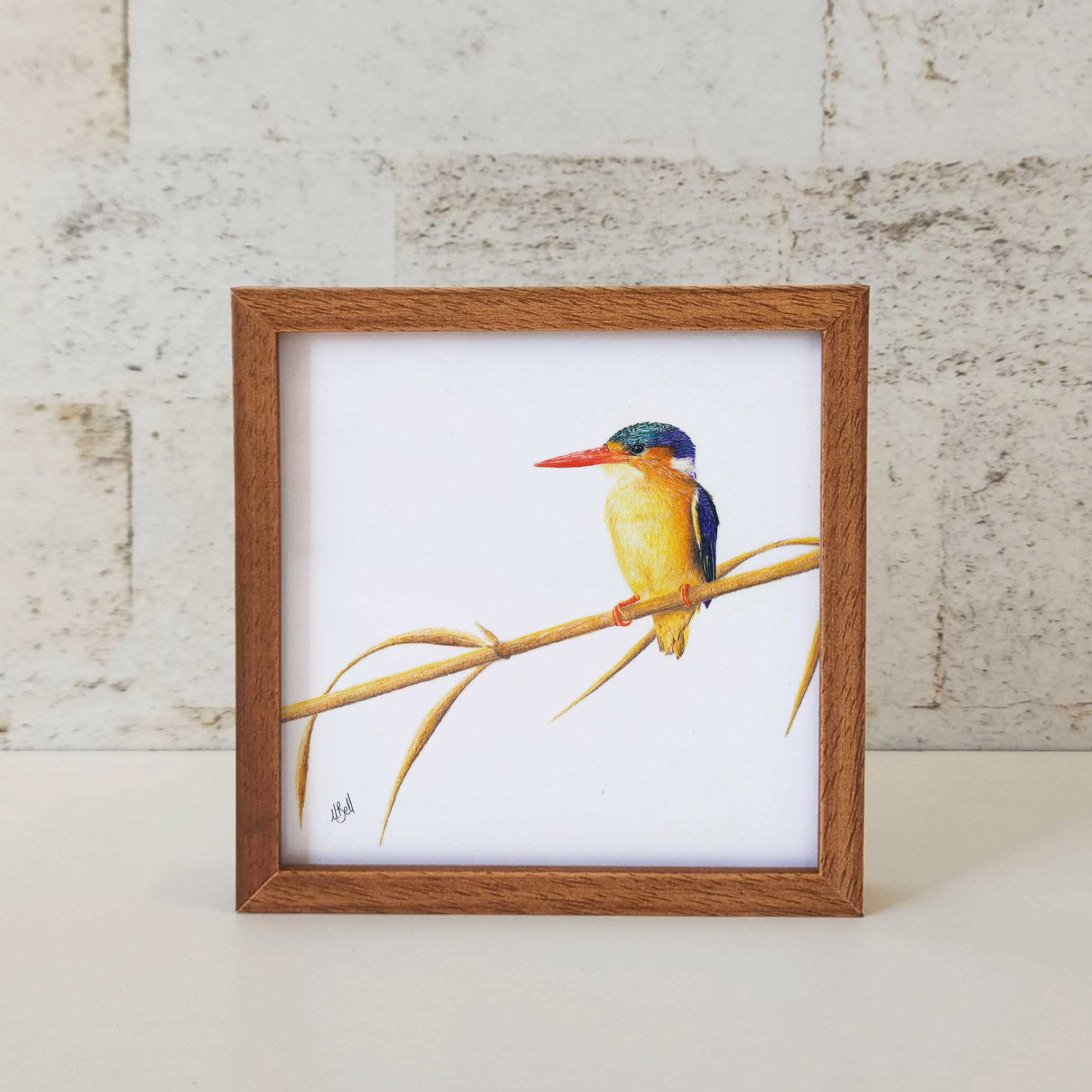 Kiaat wood framed miniature artwork of a Malachite Kingfisher, part of wildlife artist Matthew Bell's birds of South Africa gallery