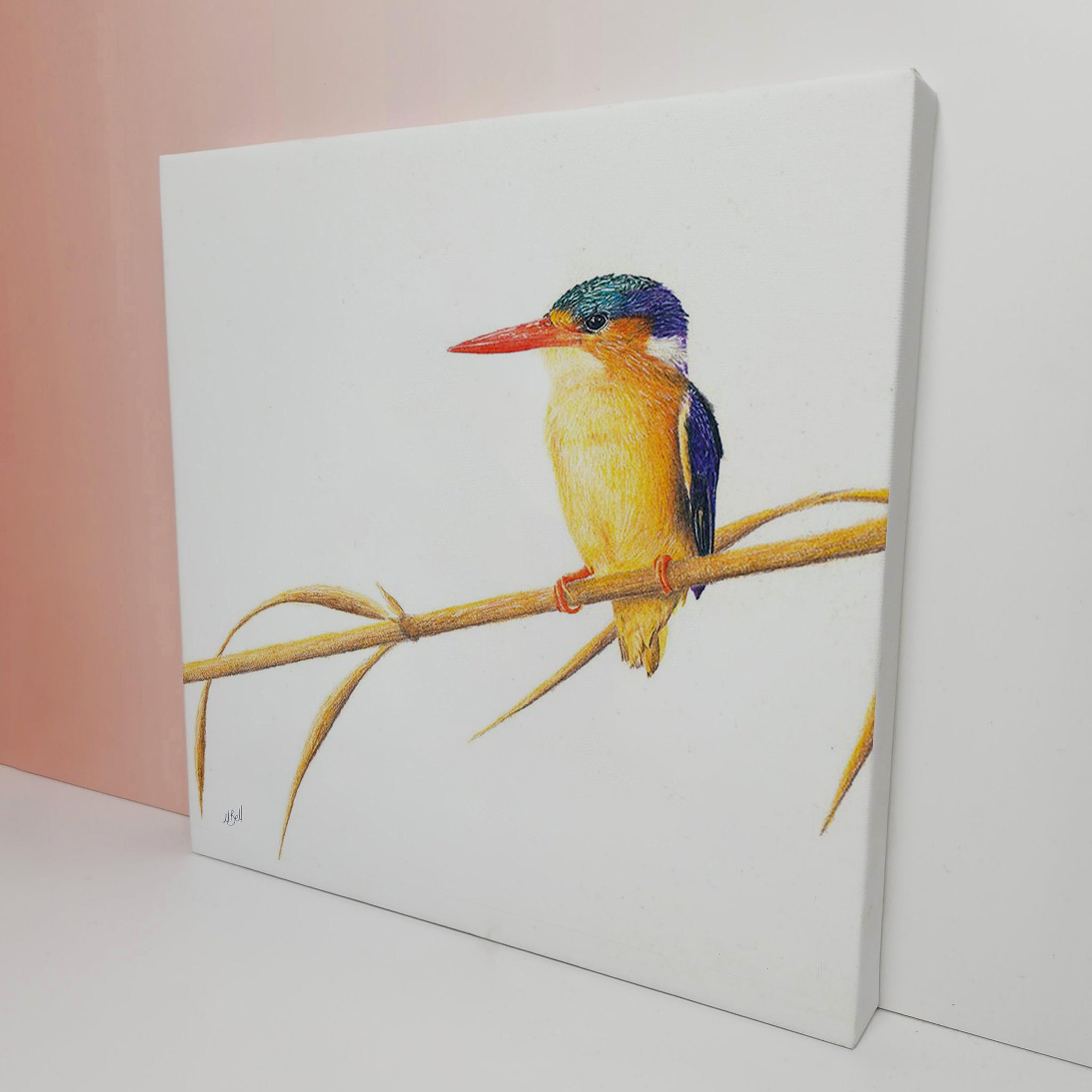 Stretched canvas South African bird artwork of a Malachite Kingfisher