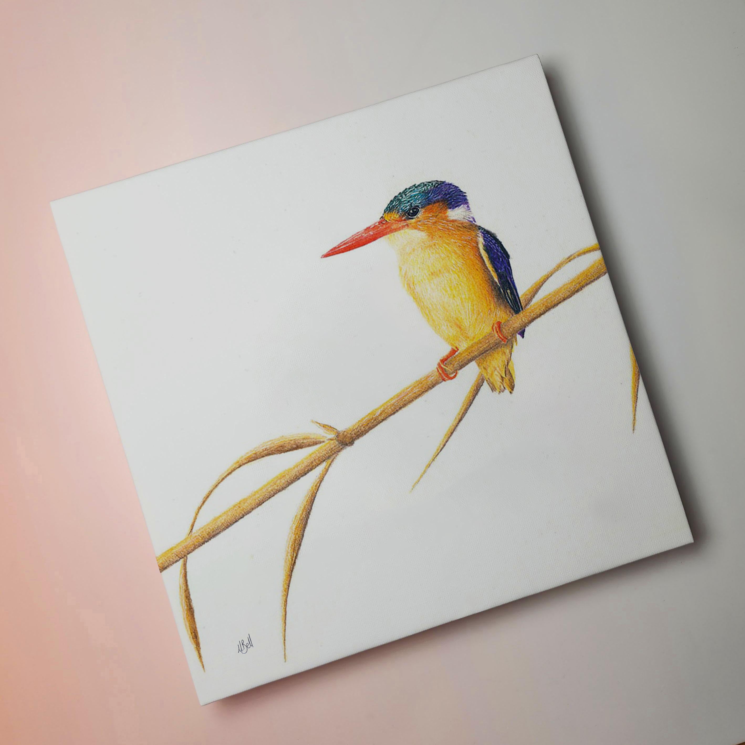 Stretched canvas South African bird artwork of a Malachite Kingfisher