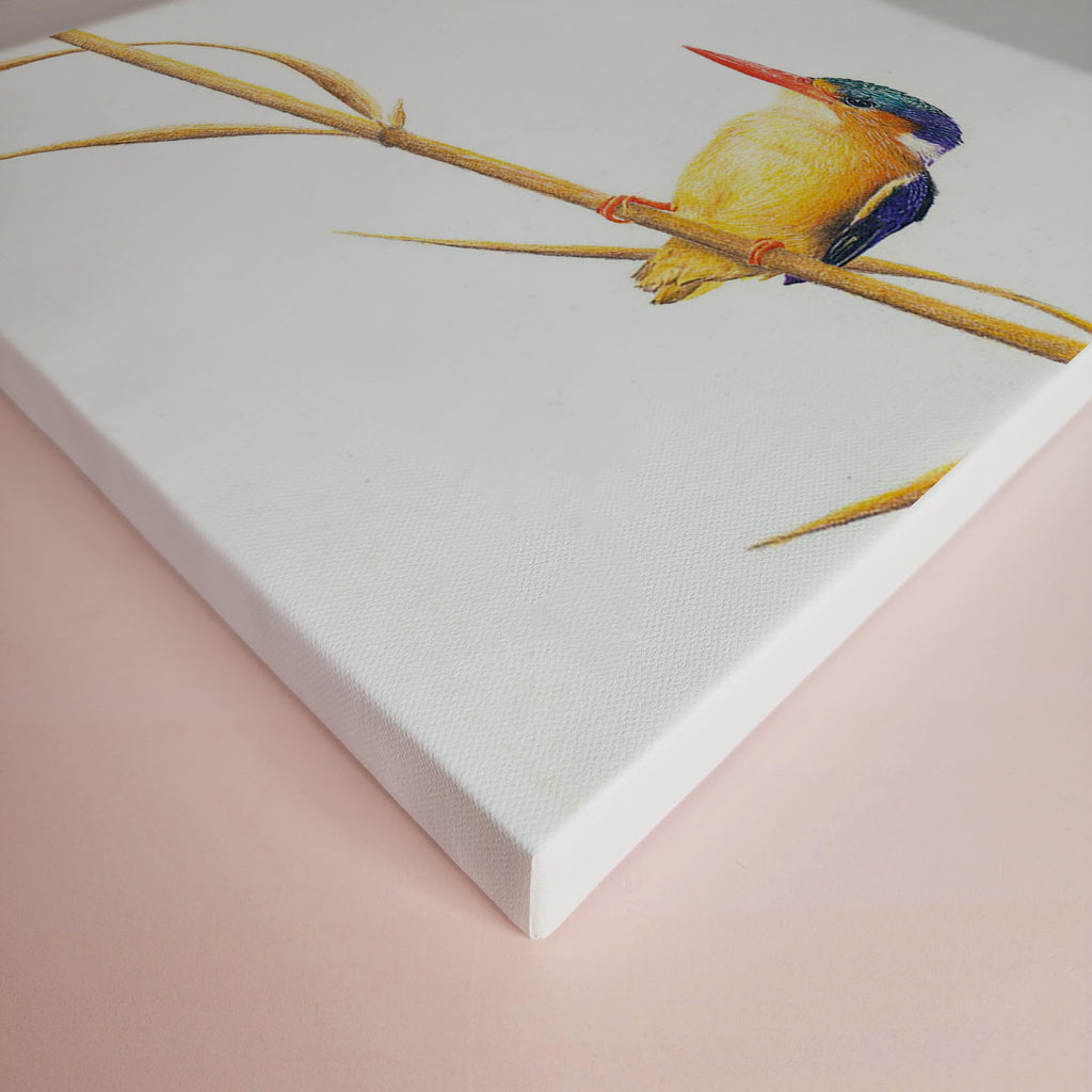 Stretched canvas South African bird artwork of a Malachite Kingfisher