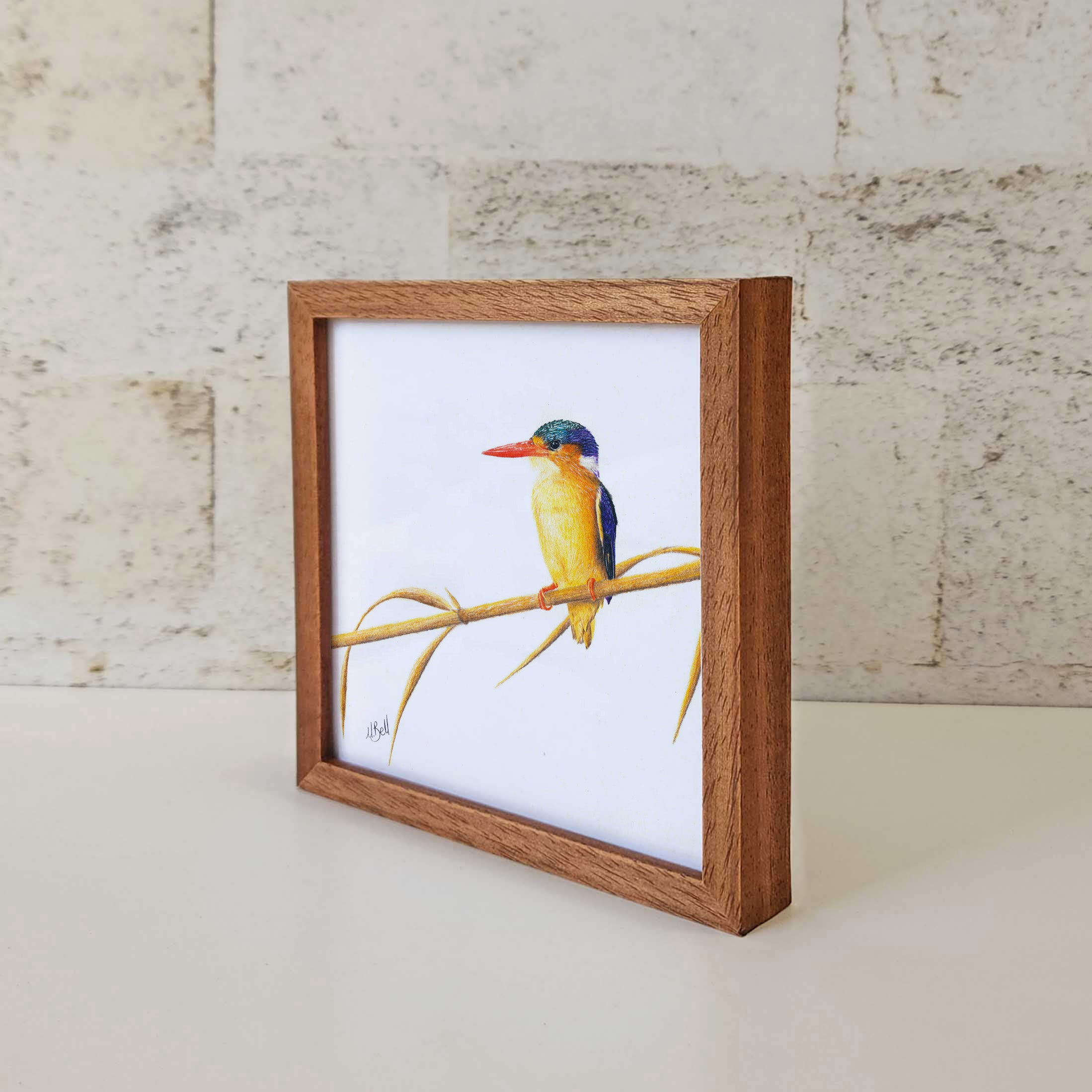 Kiaat wood framed miniature artwork of a Malachite Kingfisher, part of wildlife artist Matthew Bell's birds of South Africa gallery