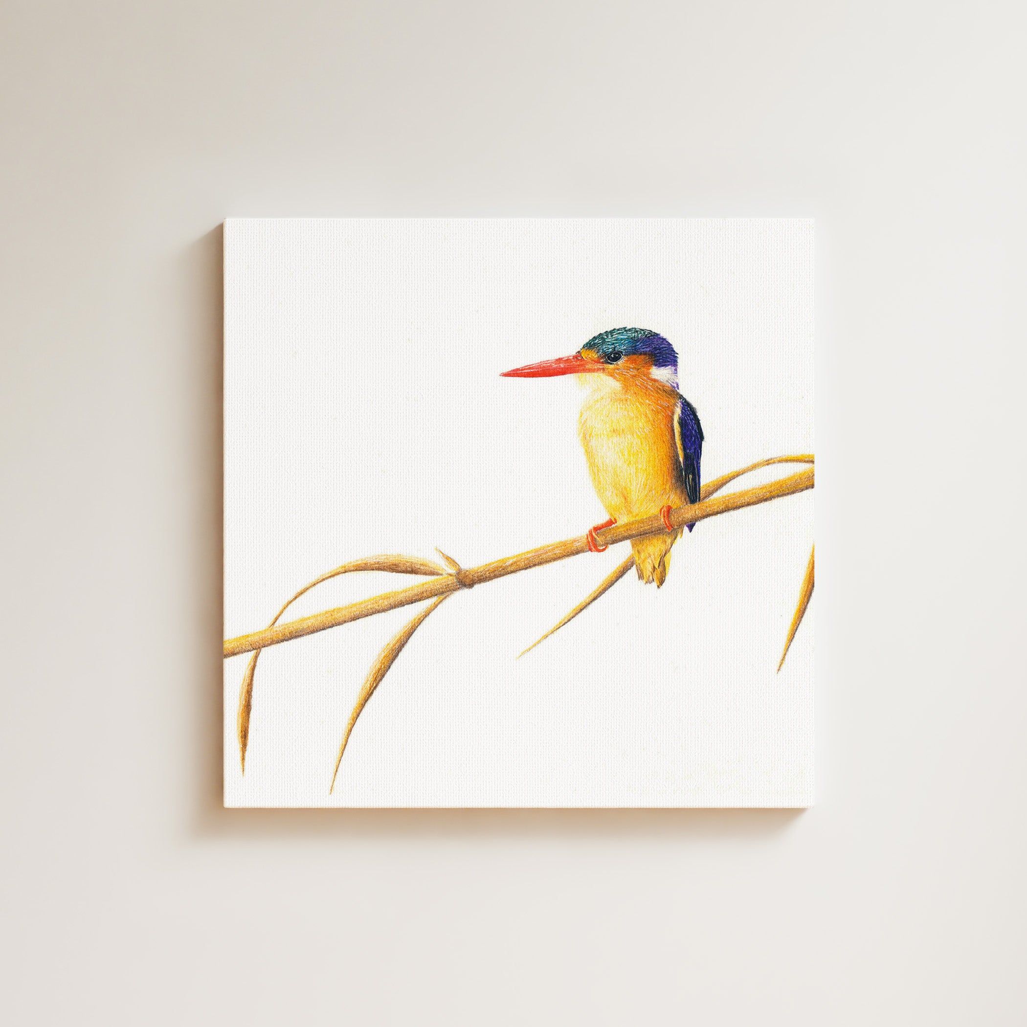 Malachite Kingfisher drawing on canvas by South African wildlife artist Matthew Bell