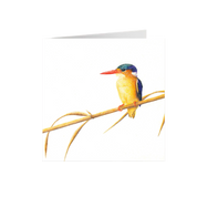 Malachite Kingfisher Greeting Card - MKF1
